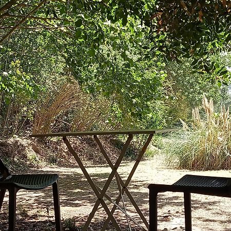Les Restanques - Chambre D'Hotes Cuges-les-Pins Exteriér fotografie
