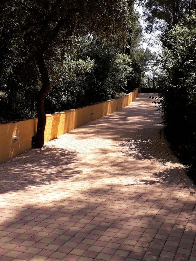 Les Restanques - Chambre D'Hotes Cuges-les-Pins Exteriér fotografie